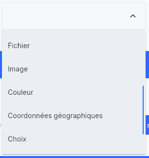 Sélecteur de type — Fichier, Image, Couleur, Coordonnées géographiques, Choix