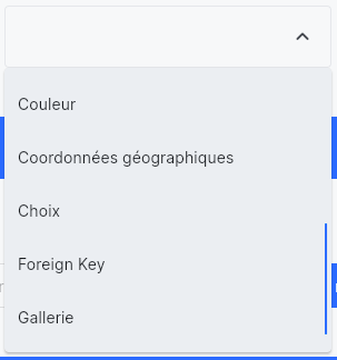 Sélecteur de type — Couleur, Coordonnées géographiques, Choix, Foreign Key, Gallerie